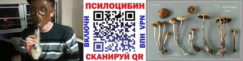 Псилоцибиновые грибы Magic Shrooms  Георгиевск 